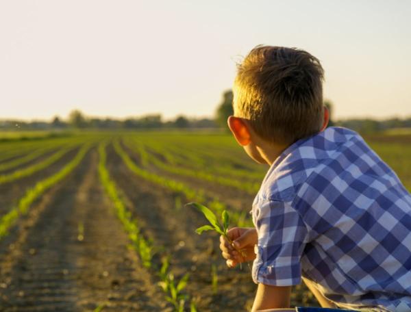 Boy looking away at a field of crops