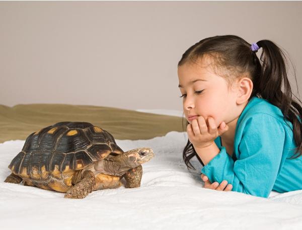 Child with pet turtle