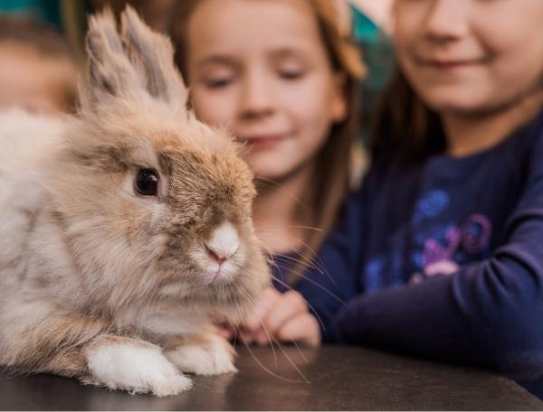 Children with rabbit