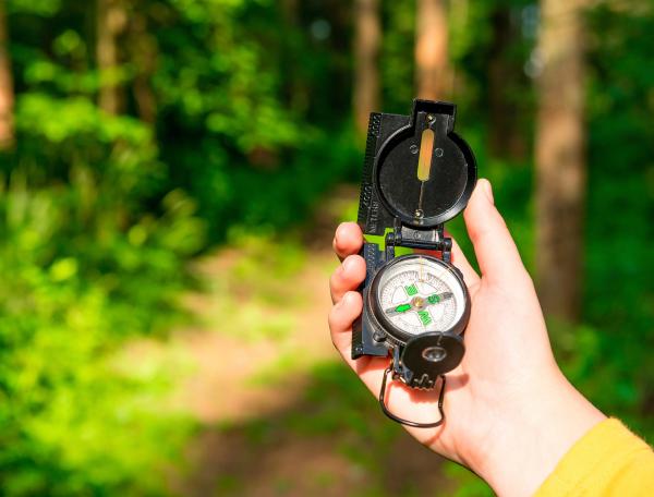 Hand holding a compass, with a path leading into a forest in the background